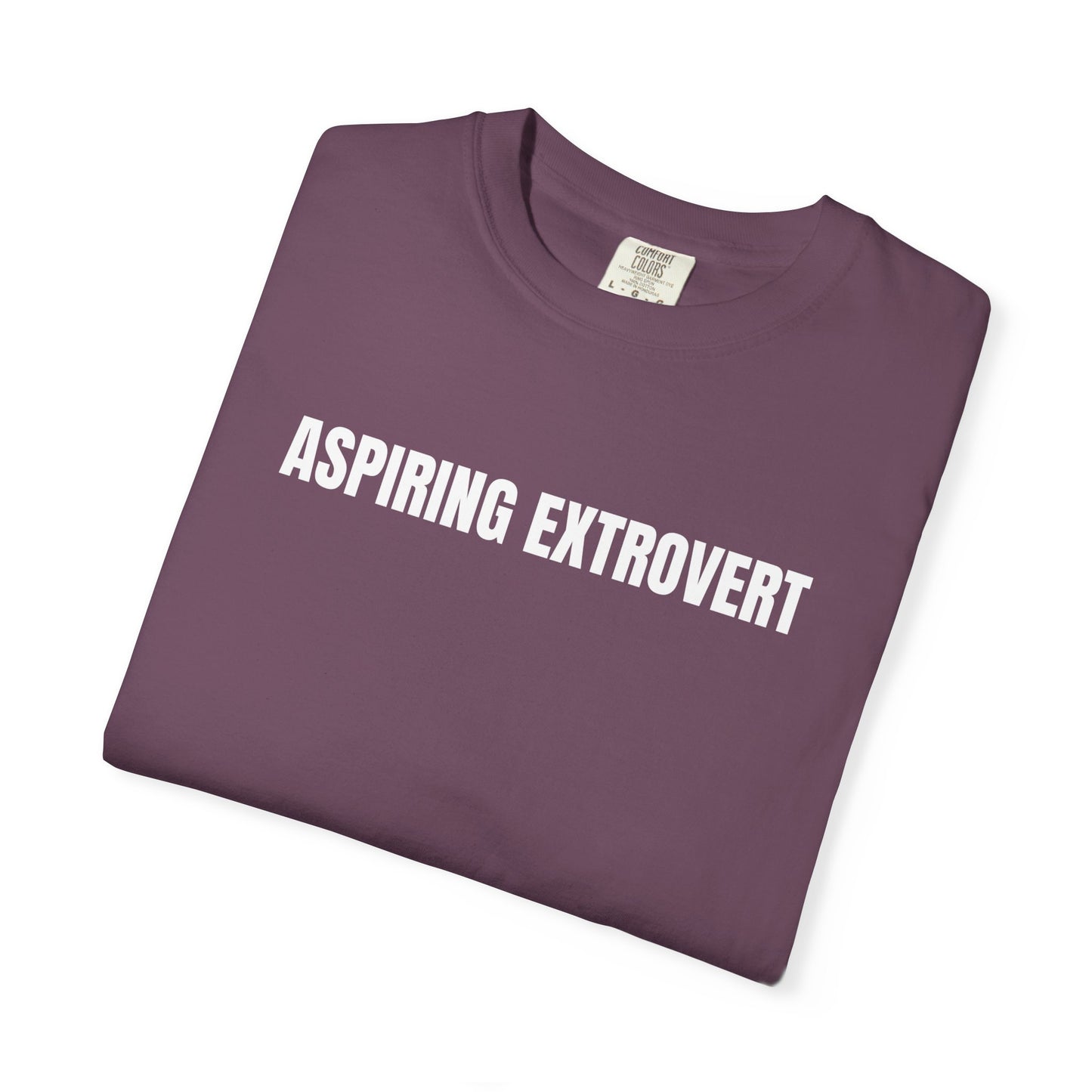 Aspiring Extrovert | Mantra Tee