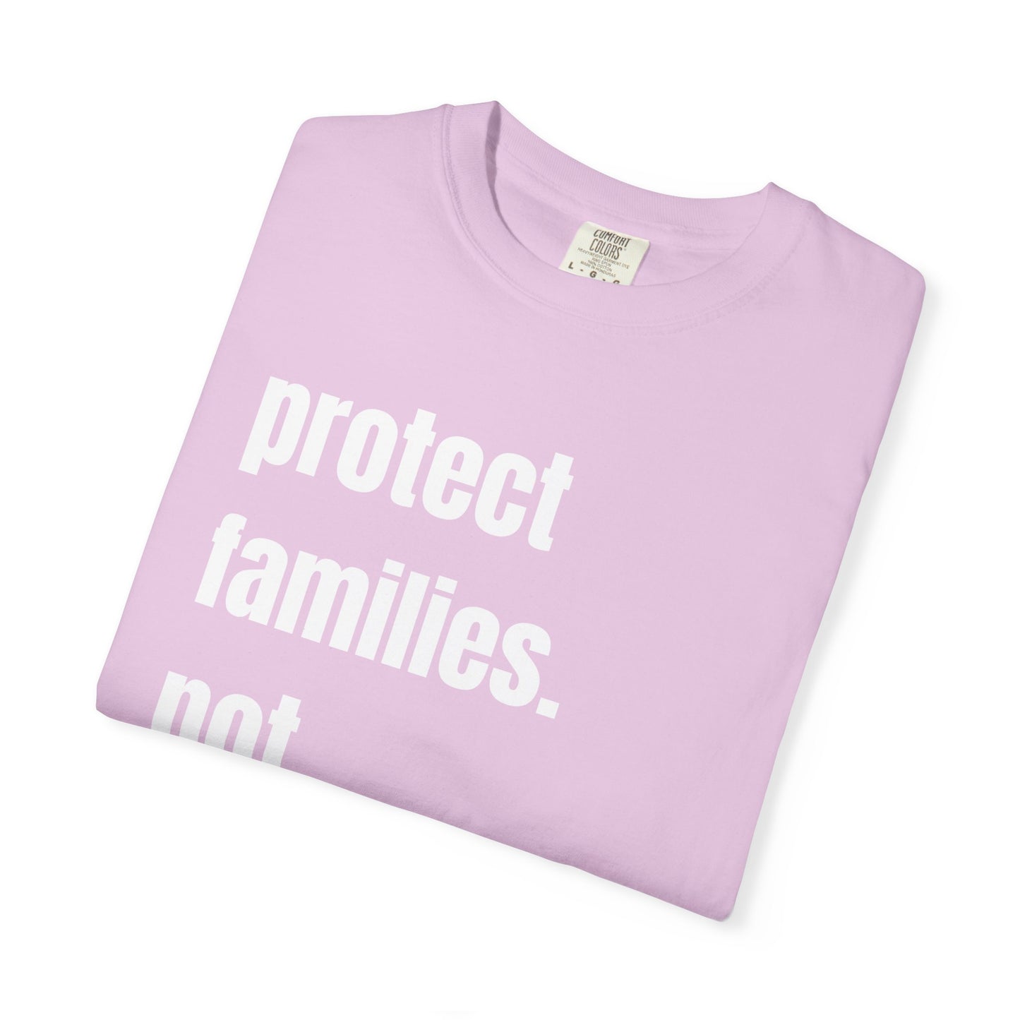 Protect Families Not Files | Community Action Tee