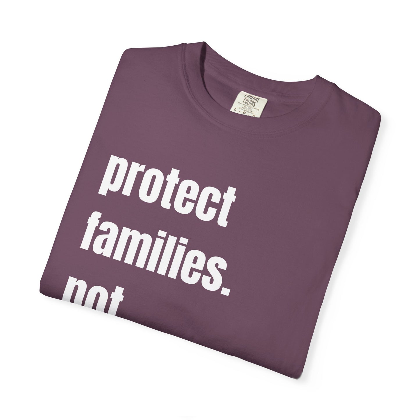 Protect Families Not Files | Community Action Tee