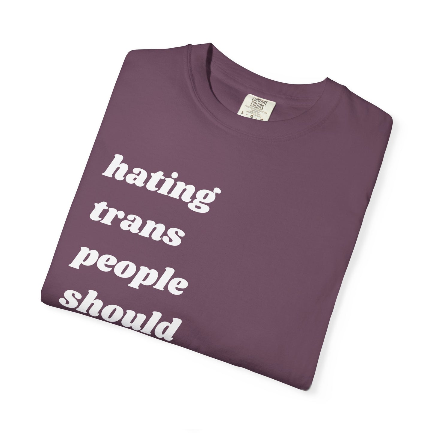 Hating Trans People Should Be Illegal | Inspirational Tee