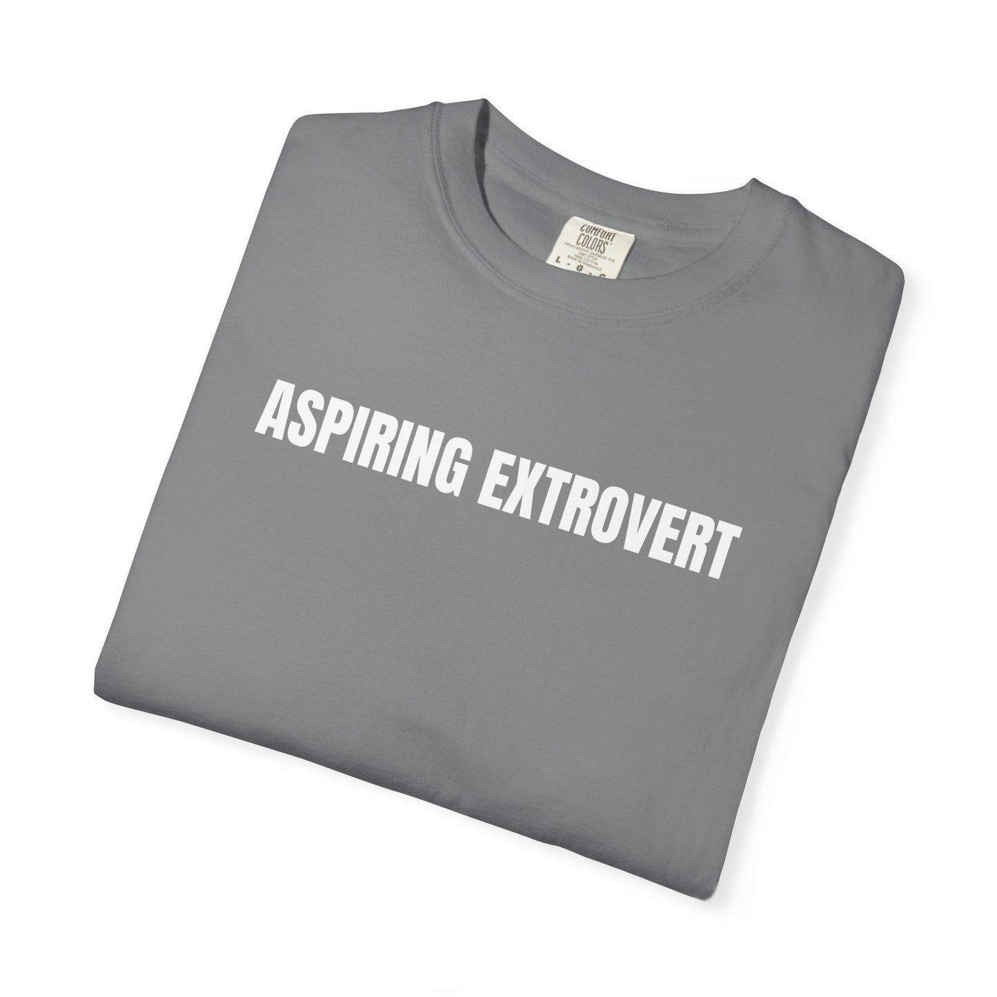 Aspiring Extrovert | Mantra Tee