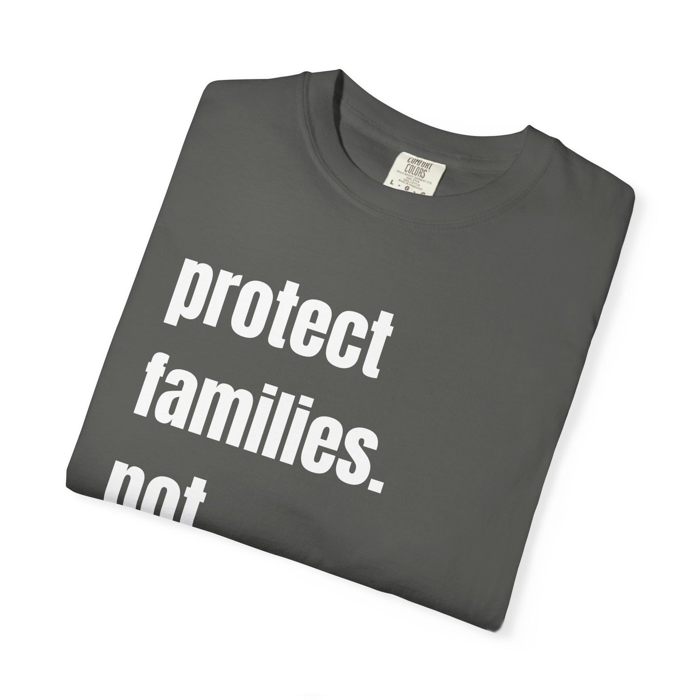 Protect Families Not Files | Community Action Tee