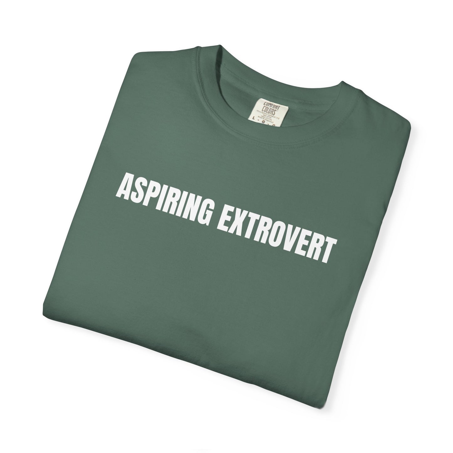 Aspiring Extrovert | Mantra Tee