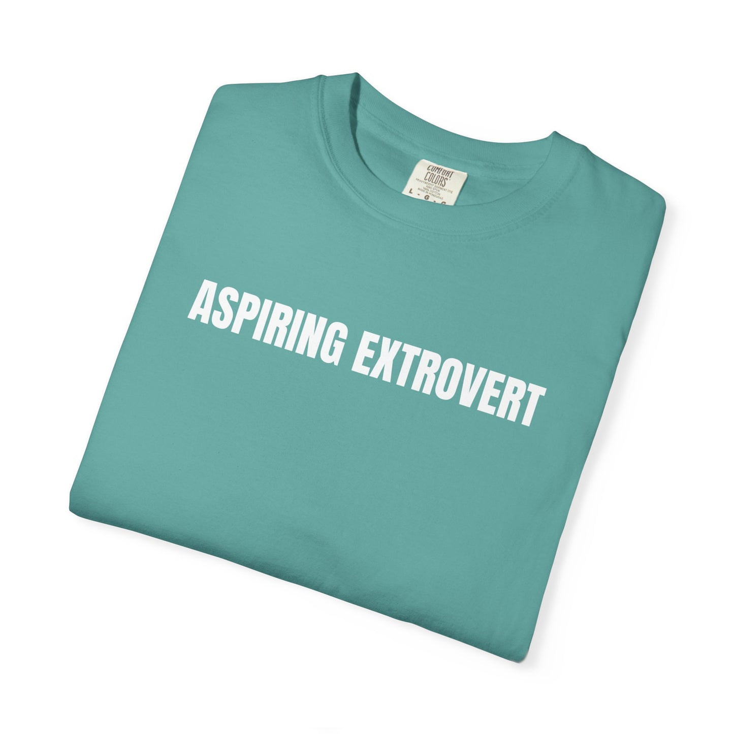 Aspiring Extrovert | Mantra Tee