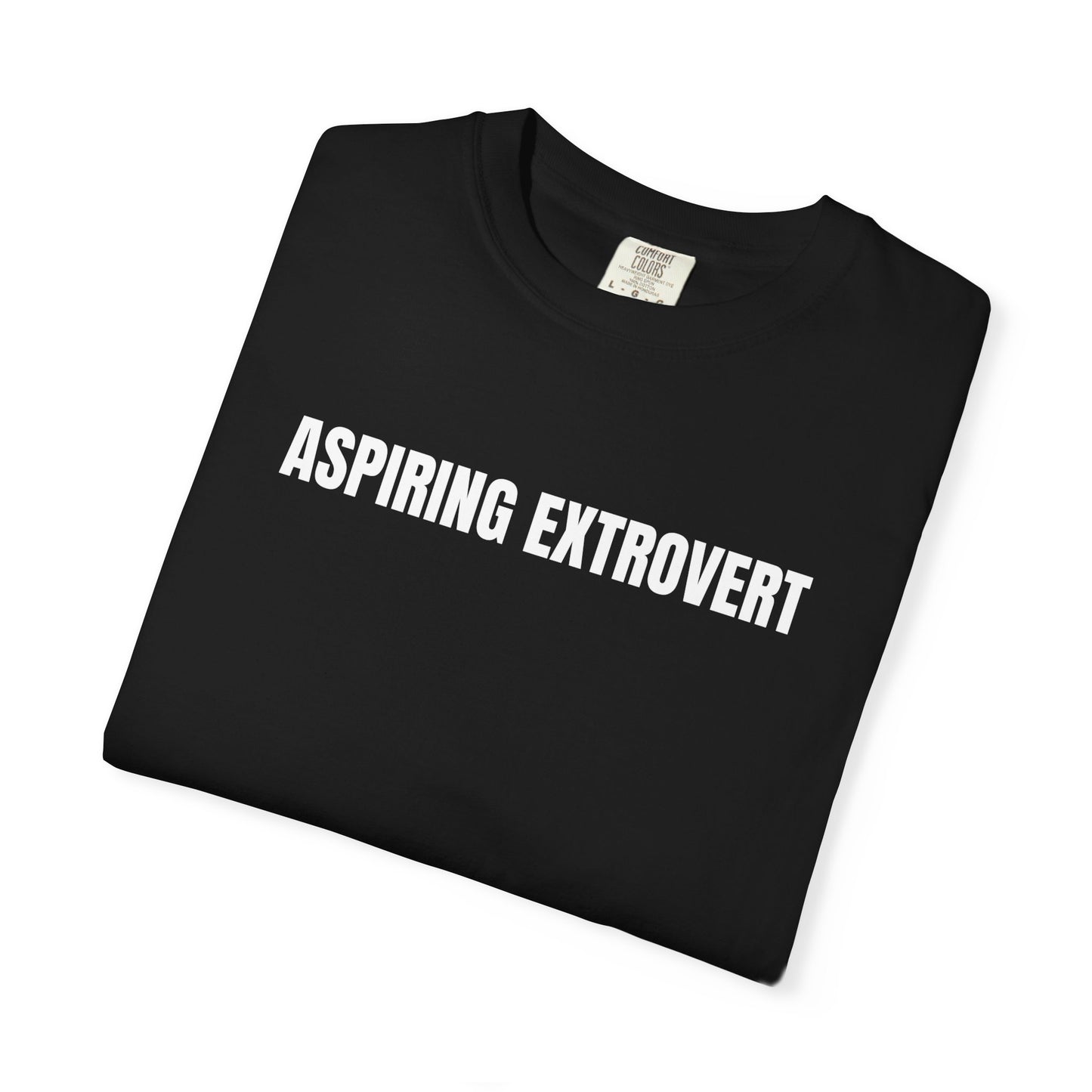 Aspiring Extrovert | Mantra Tee