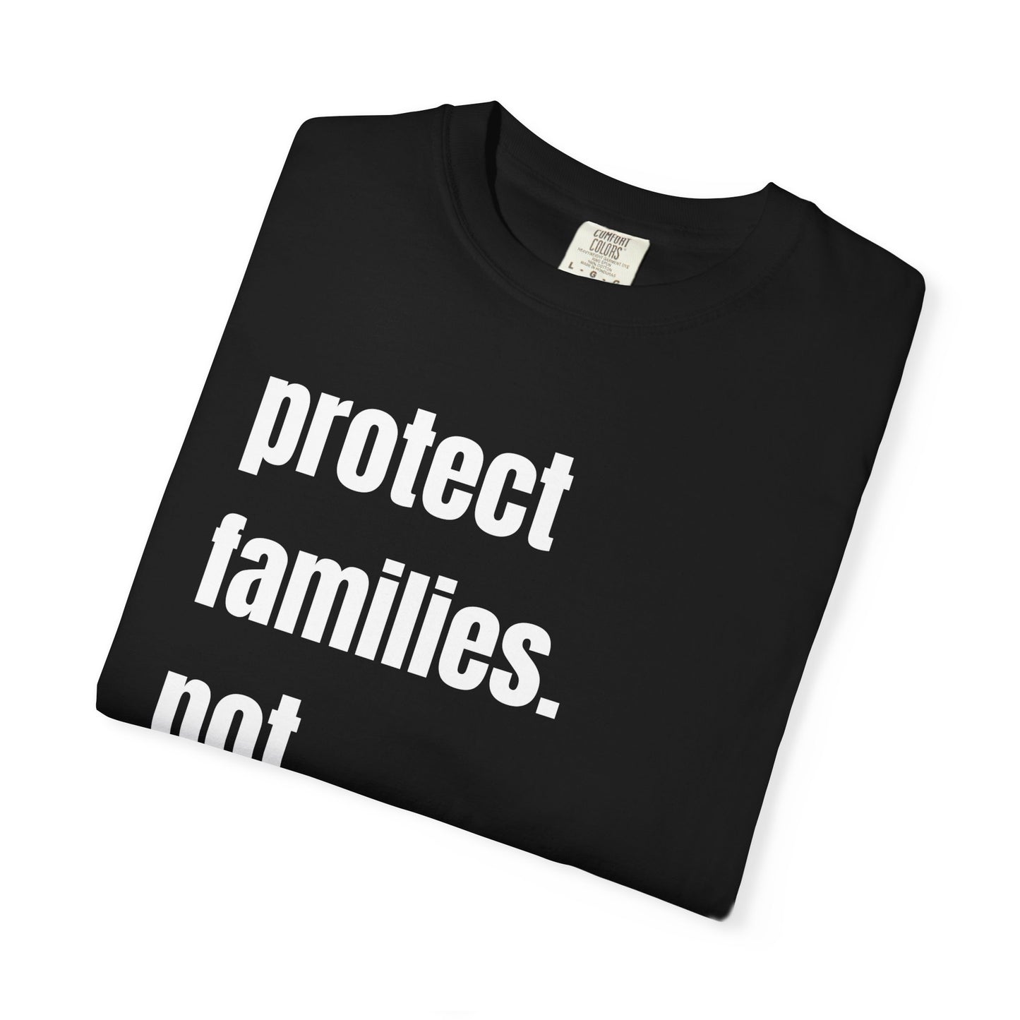 Protect Families Not Files | Community Action Tee