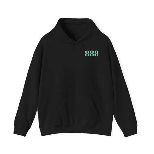 HipNoSis 888 - Unisex Heavy Blend™ Hooded Sweatshirt