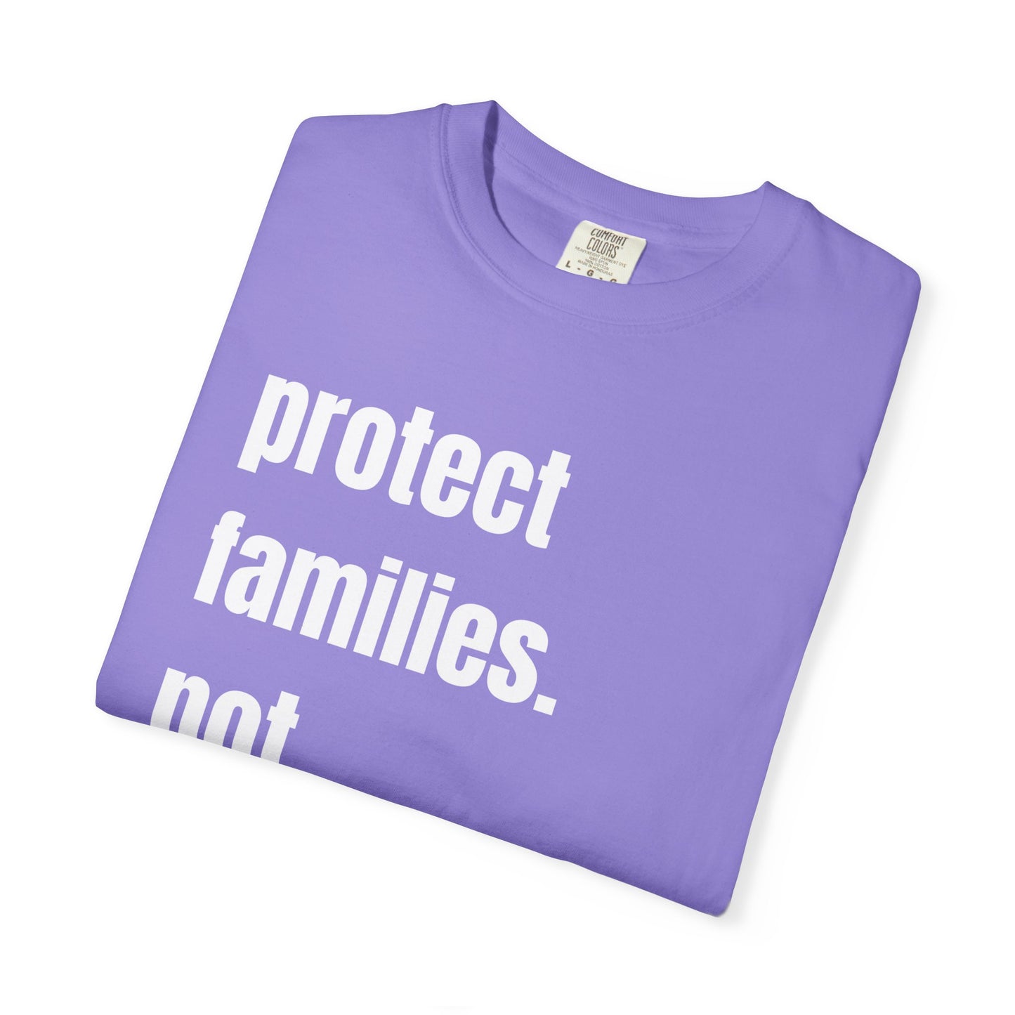 Protect Families Not Files | Community Action Tee