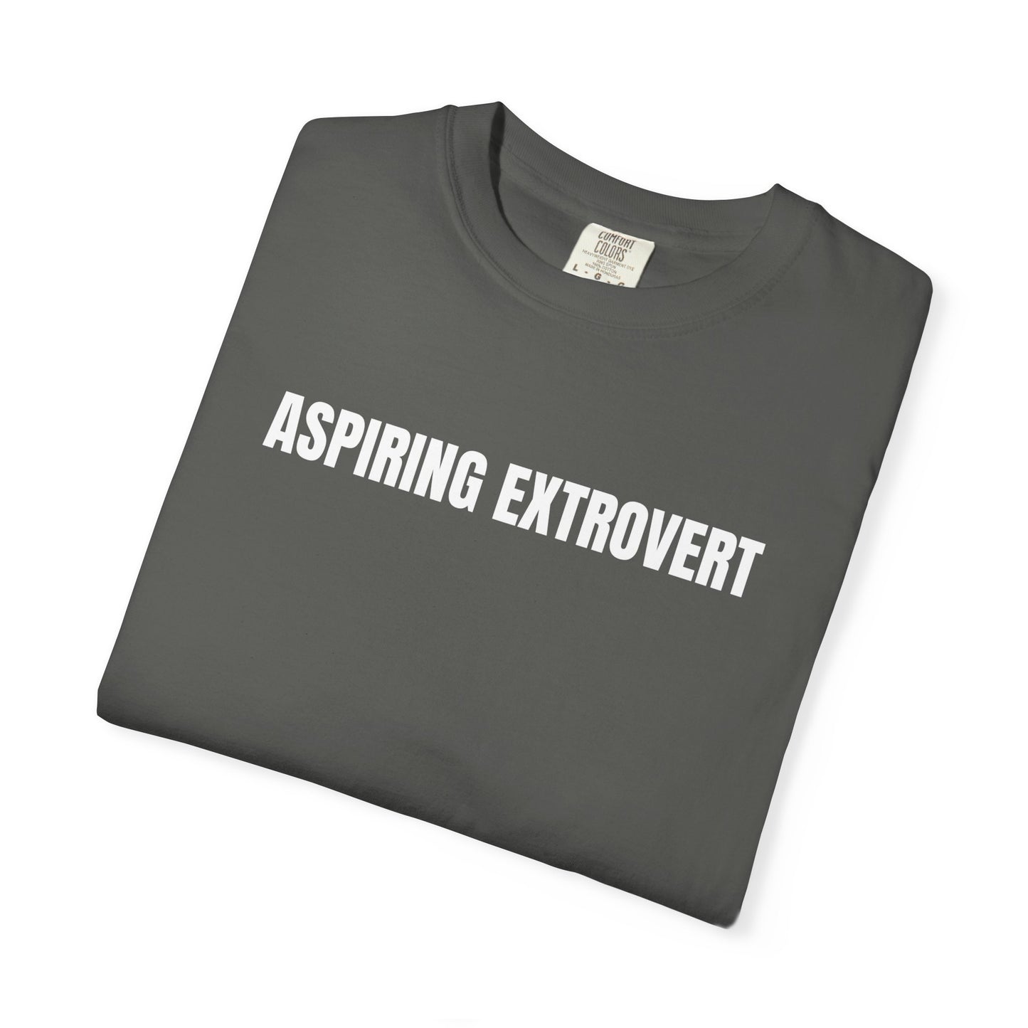 Aspiring Extrovert | Mantra Tee