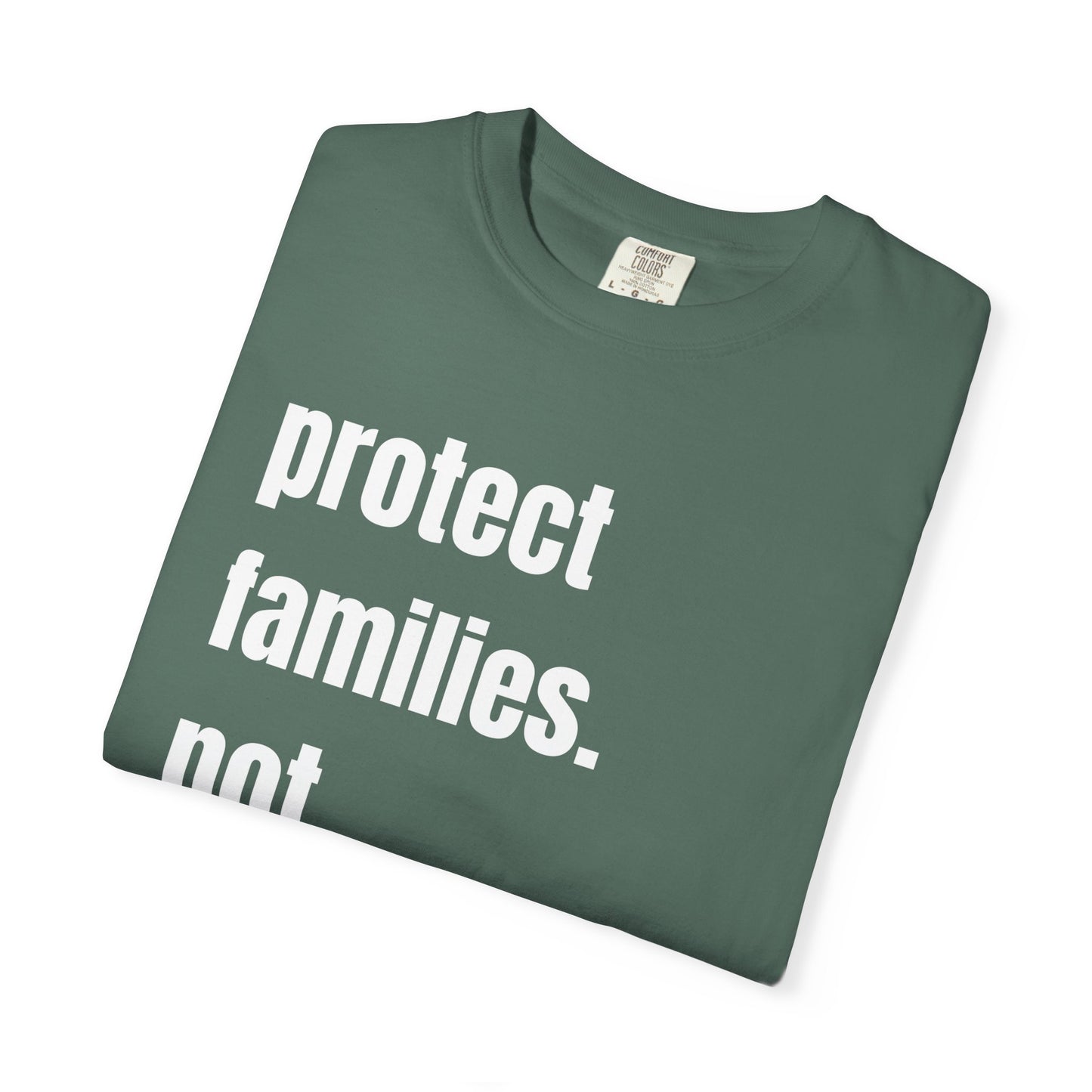 Protect Families Not Files | Community Action Tee