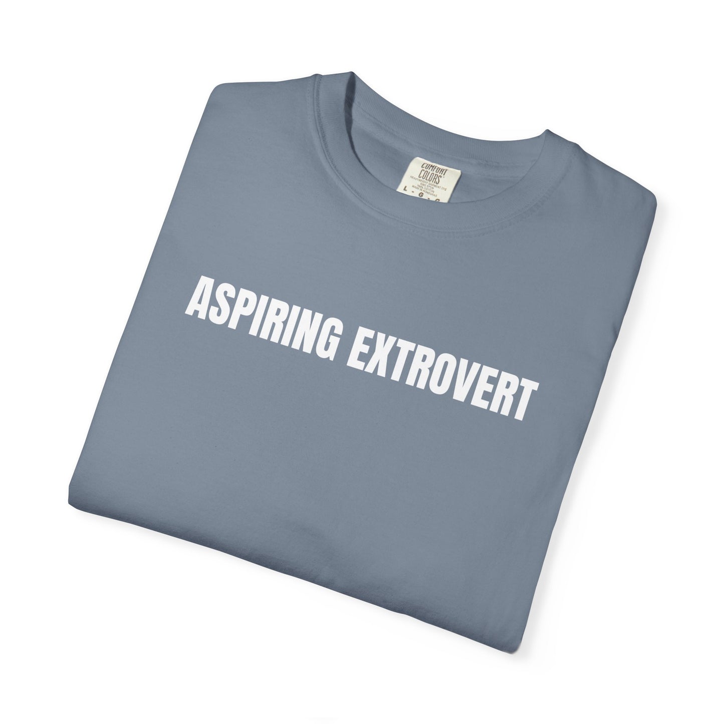 Aspiring Extrovert | Mantra Tee