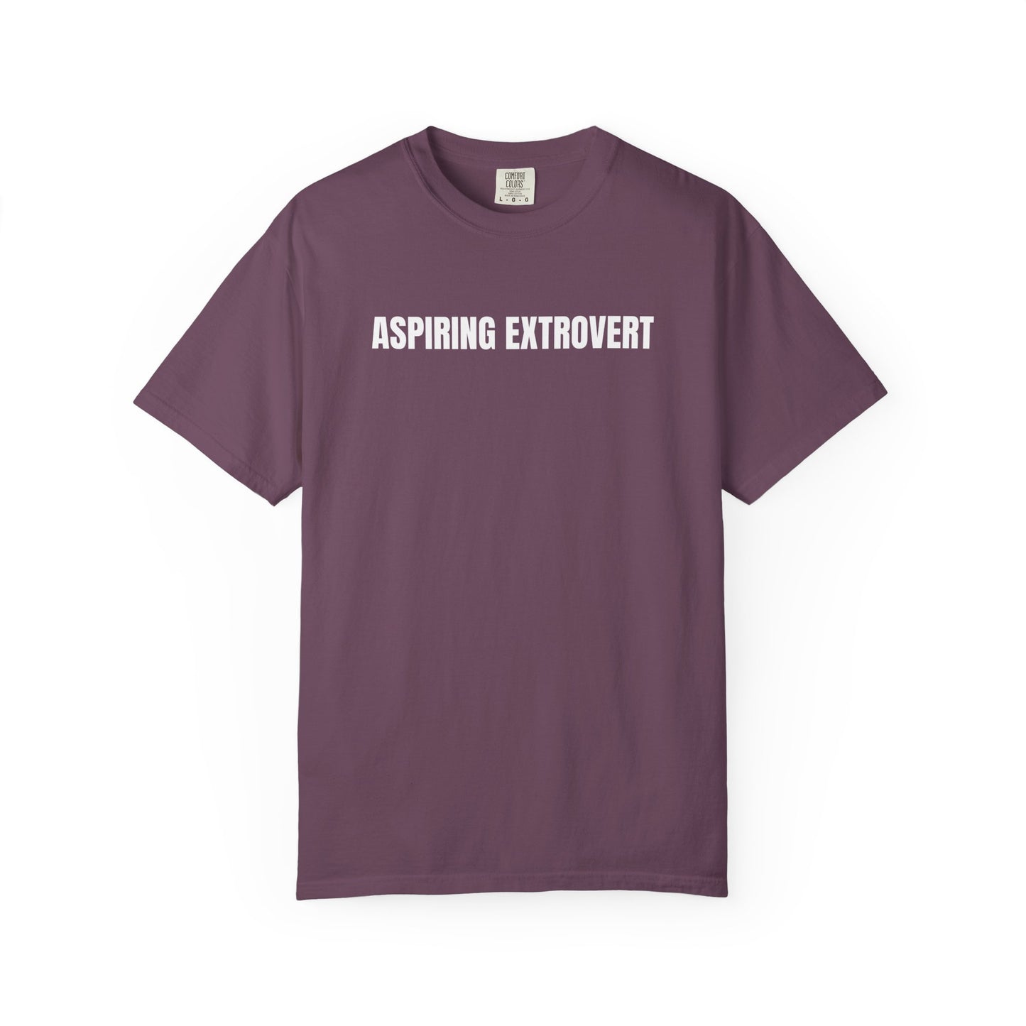 Aspiring Extrovert | Mantra Tee