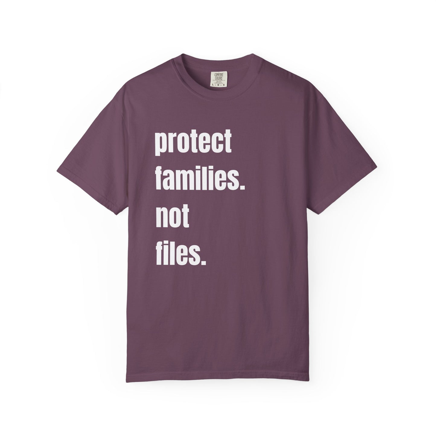 Protect Families Not Files | Community Action Tee