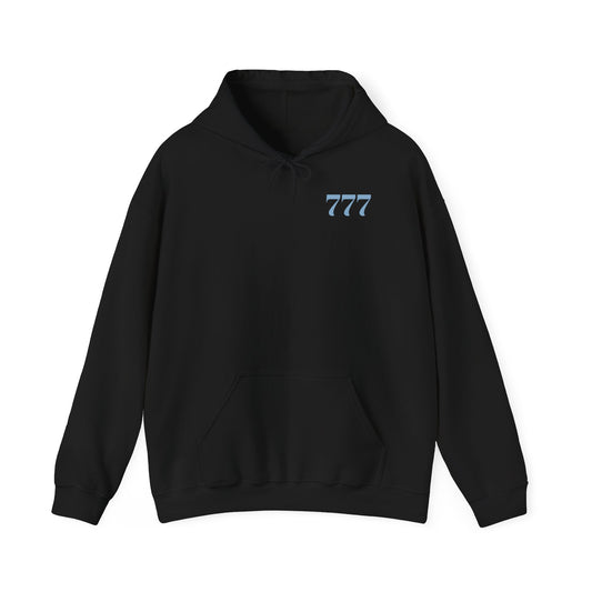 HipNoSis 777 - Unisex Heavy Blend™ Hooded Sweatshirt