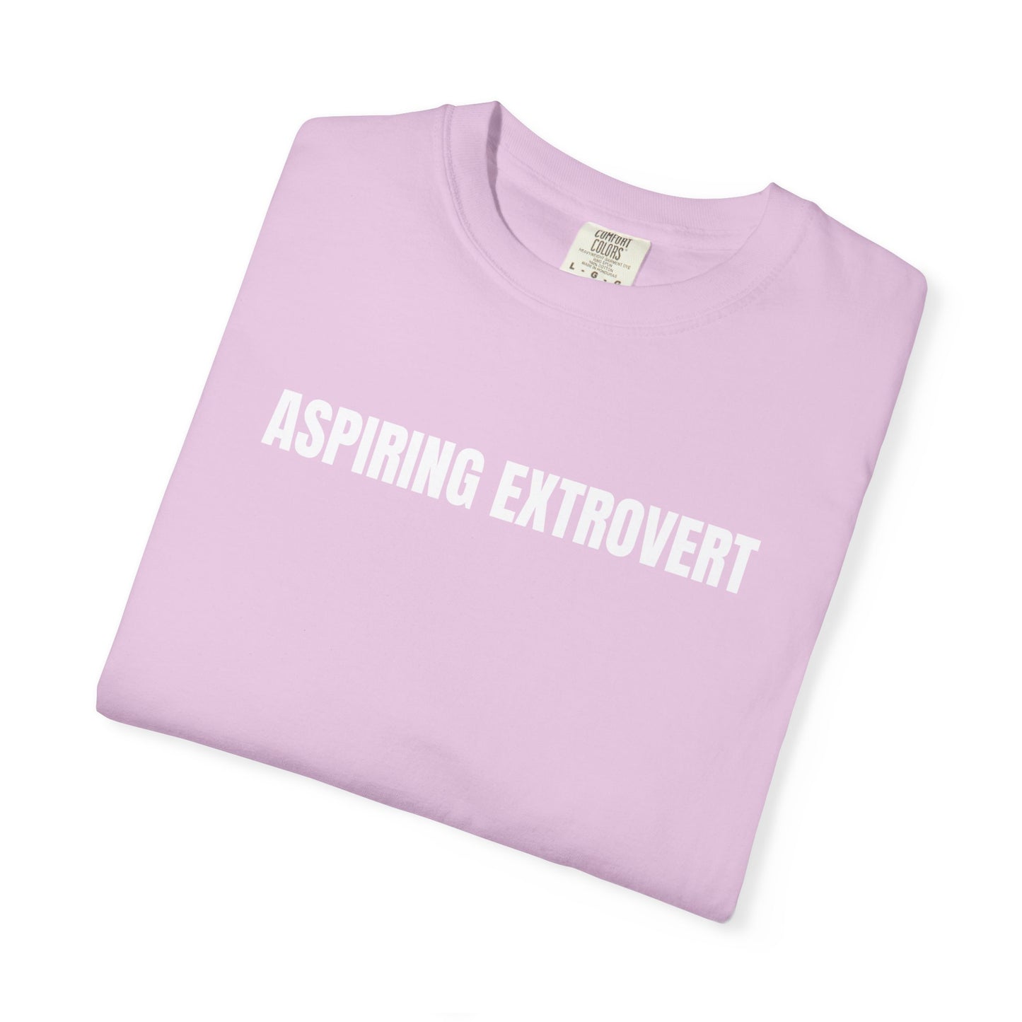 Aspiring Extrovert | Mantra Tee