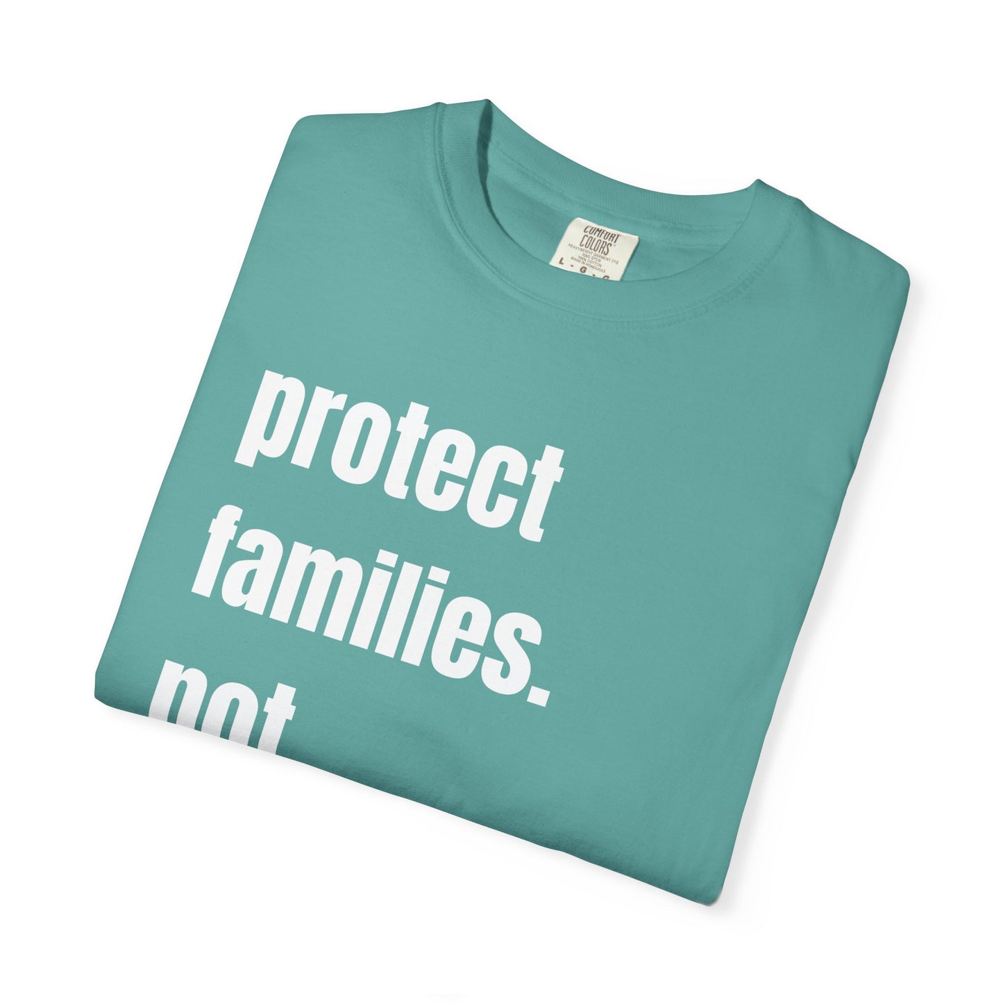 Protect Families Not Files | Community Action Tee